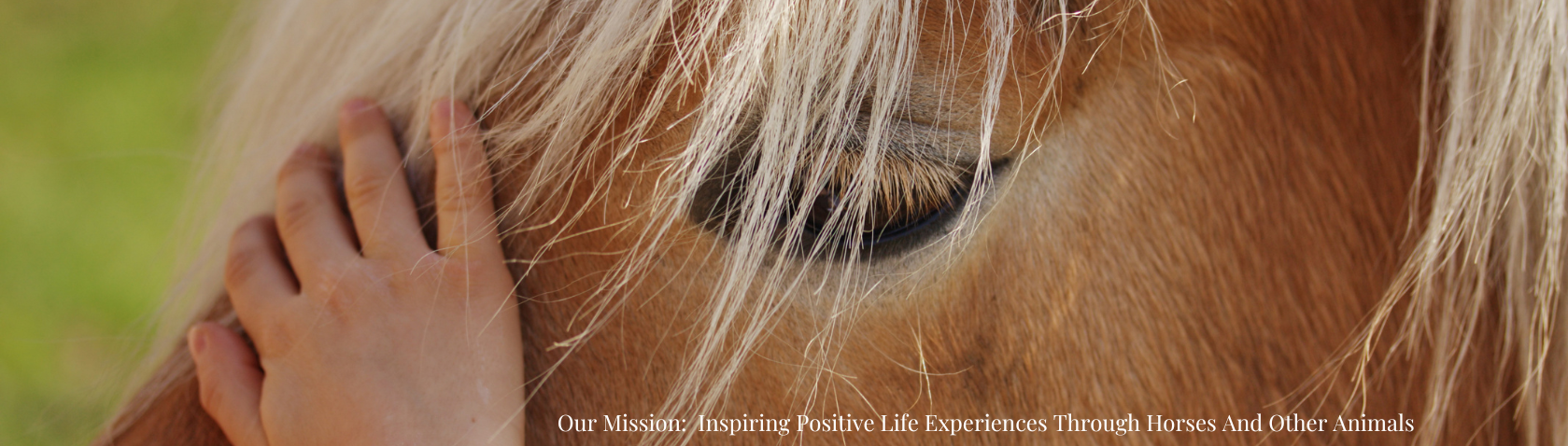 Heavenly Horses